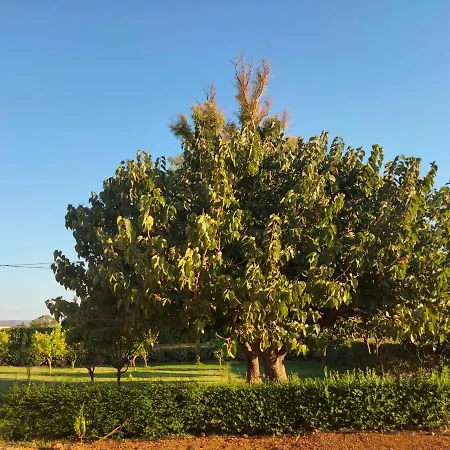 I Doni Del Mandorlo Alloggio per agriturismo *